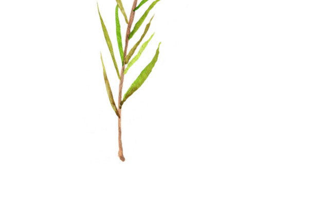 粉色小花水彩装饰素材
