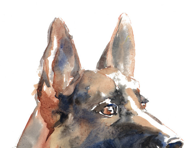 警犬狗头水彩背景素材