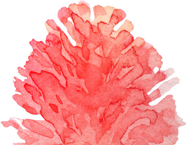 手绘插画花 水彩花 花 矢量素材