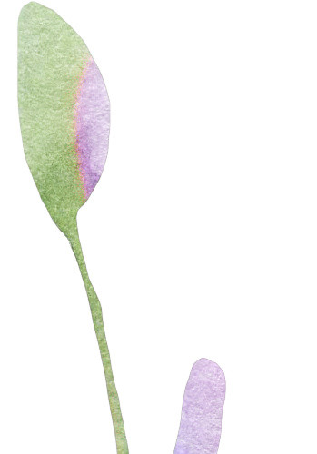 清新水彩树叶矢量素材