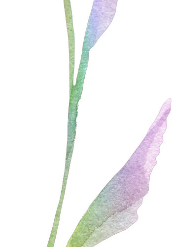 清新水彩树叶矢量素材