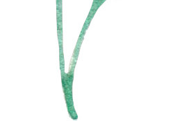 清新水彩树叶矢量素材