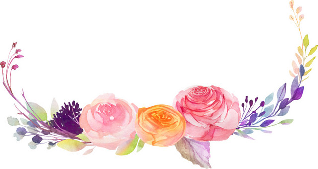 彩绘水彩手绘植物花玫瑰月季矢量素材