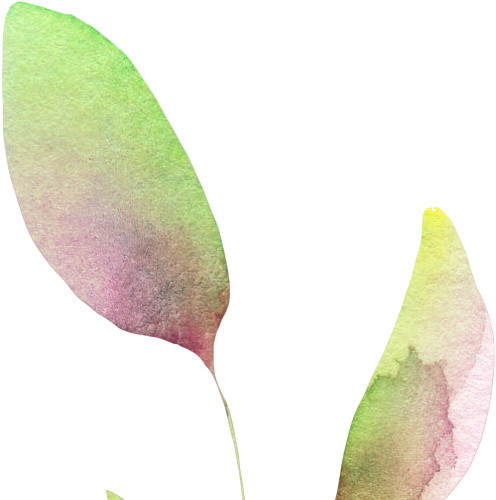 清新水彩树叶矢量素材