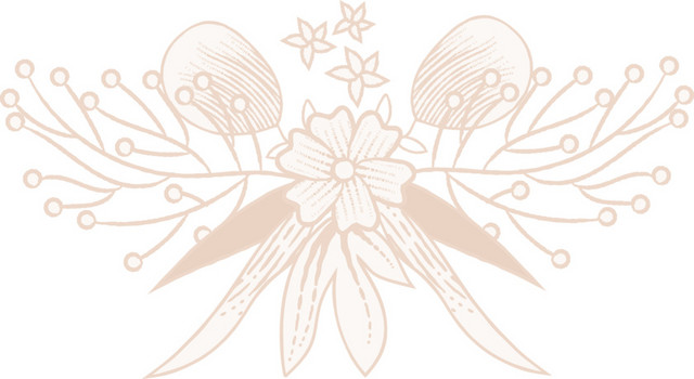 手绘淡雅花朵花瓣叶子矢量素材