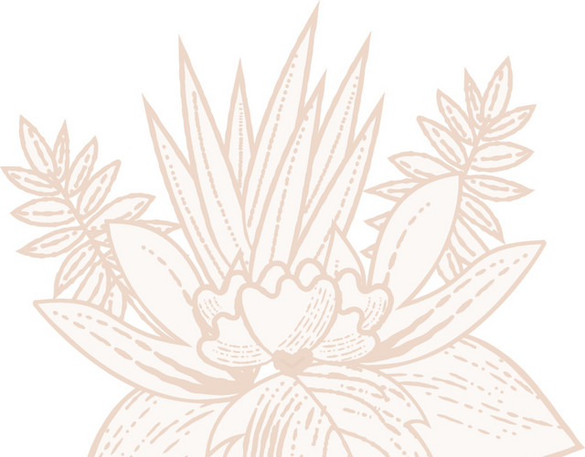 手绘淡雅花朵花瓣叶子矢量素材
