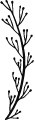 素描植物插图素材