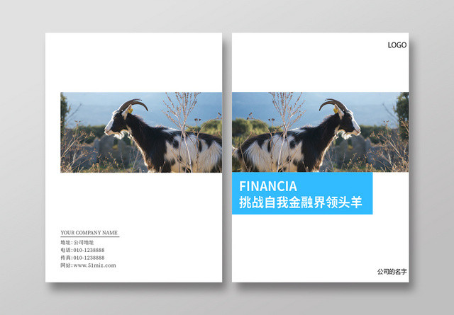简约风公司文化企业文化画册封面挑战领头羊招商宣传册