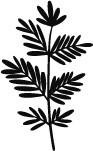 小草素描素材