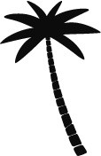 椰子树素描素材