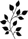 树叶素描素材