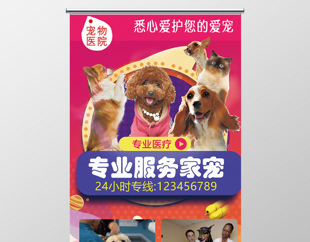 紫红醒目宠物医院专业服务卡通动物易拉宝
