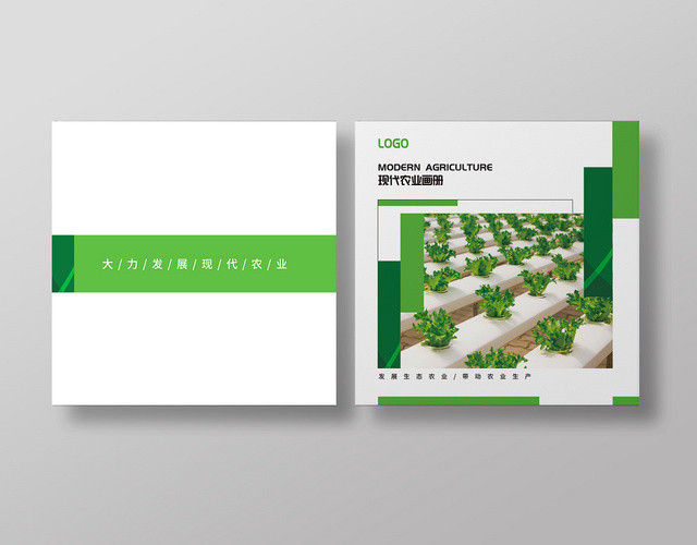 绿色现代农业果蔬农产品画册封面