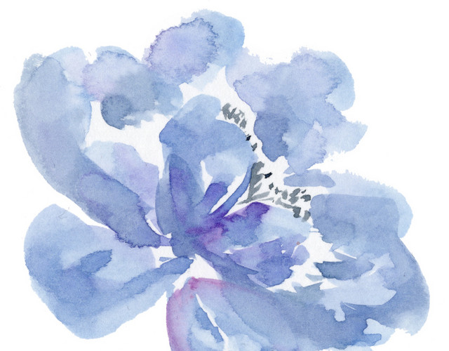 水墨花朵素材