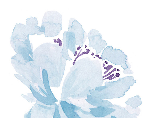 花朵素材
