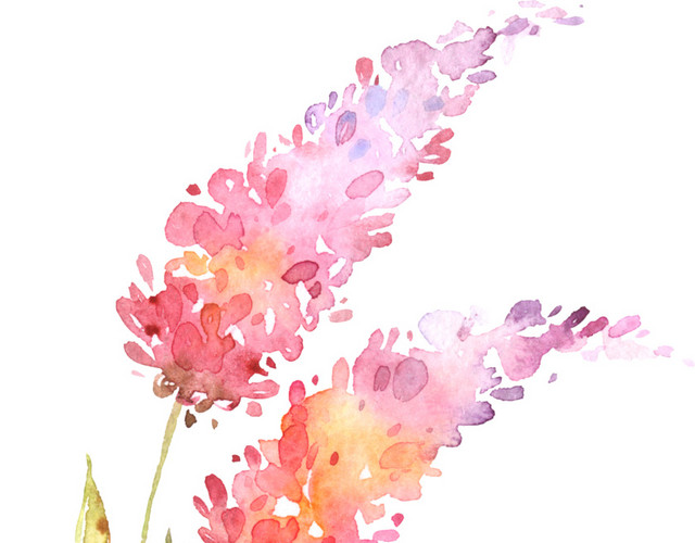 手绘水彩树叶花朵素材
