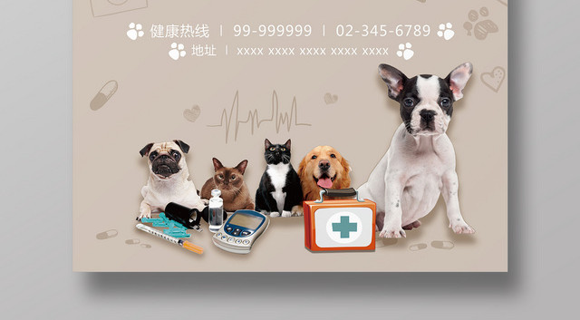 简约宠物医院拯救单身汪宣传海报