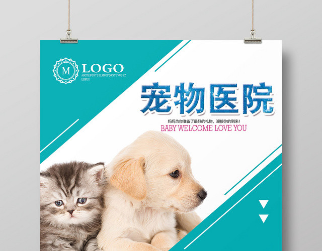 简约宠物医院动物生化仪宣传海报