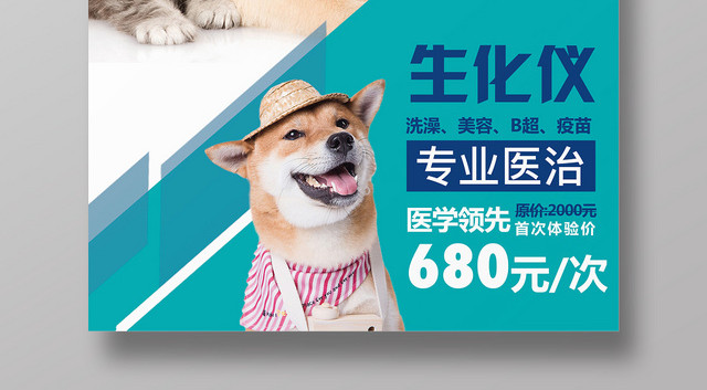 简约宠物医院动物生化仪宣传海报