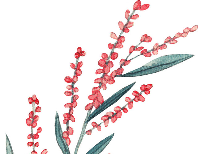 手绘水彩花装饰素材