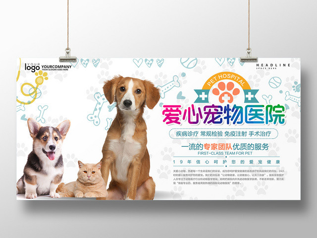 简约爱心宠物医院动物专家团队宣传展板