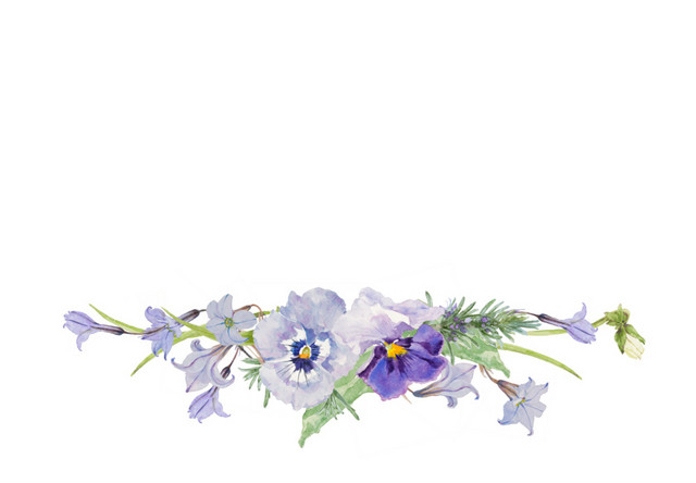 手绘水彩花装饰素材