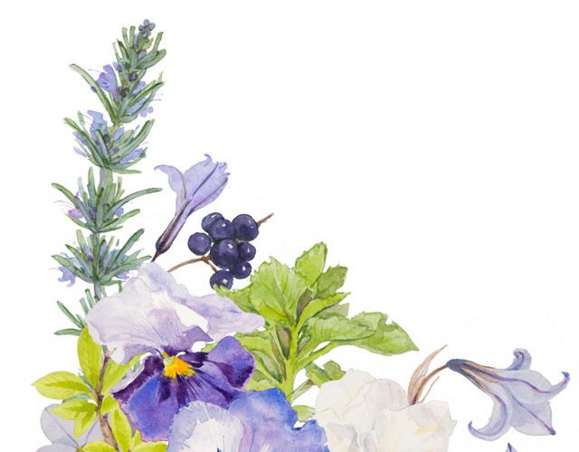 手绘水彩花装饰素材