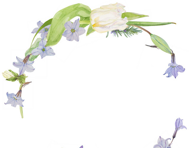 手绘水彩花装饰花环素材