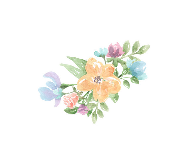 手绘水彩树叶花朵素材