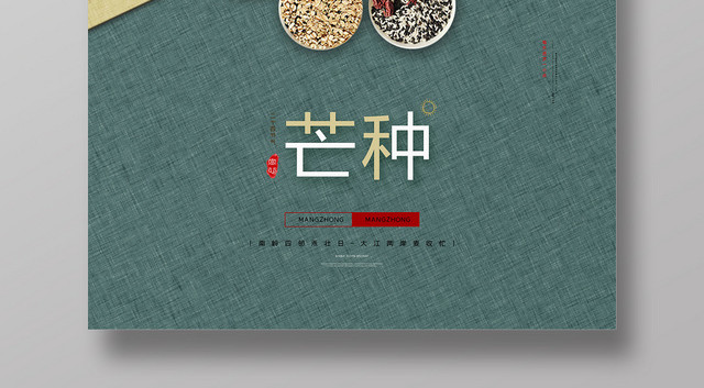 简约风中国传统节日二十四节气芒种宣传海报