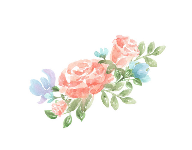 手绘水彩树叶花朵素材