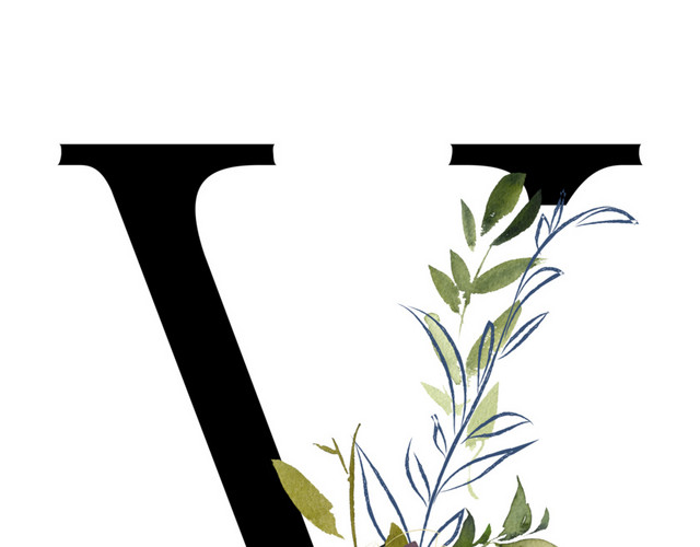 黑色英文字母V花朵装饰素材