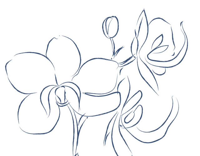 手绘素描花朵枝叶素材