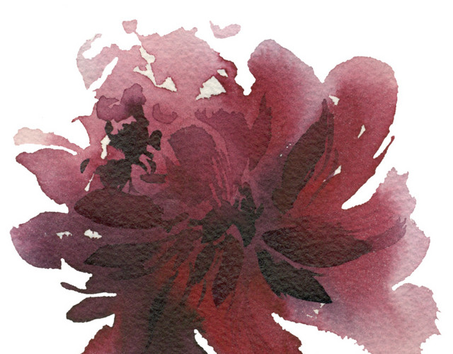 手绘水墨花朵素材