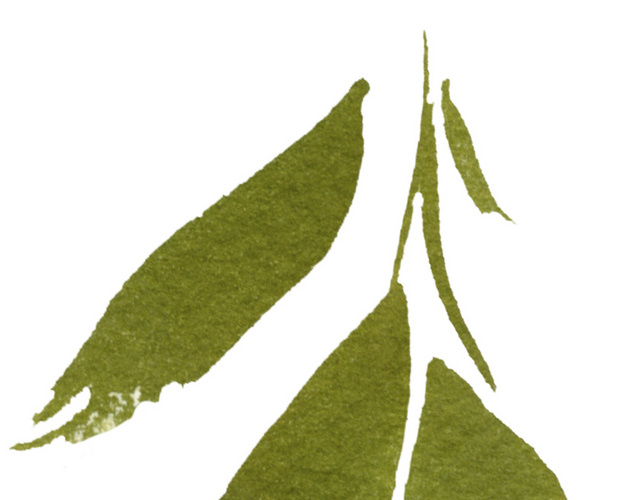 手绘水墨树叶素材