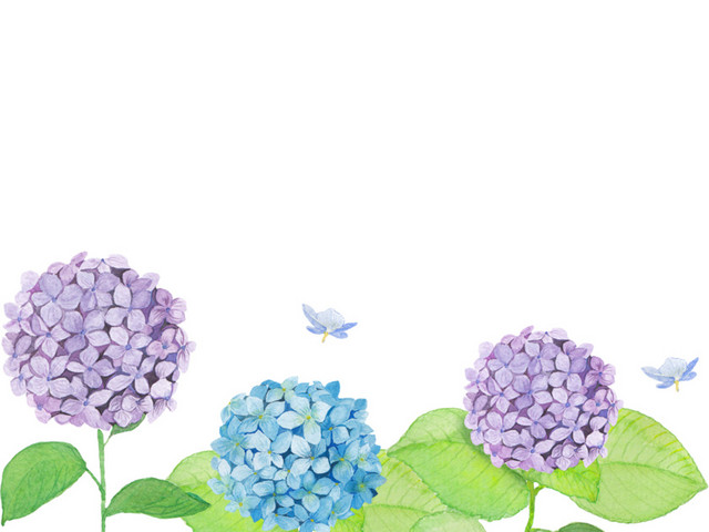 手绘水彩花装饰素材