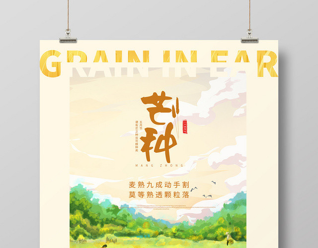 黄色清新24二十四节气芒种海报