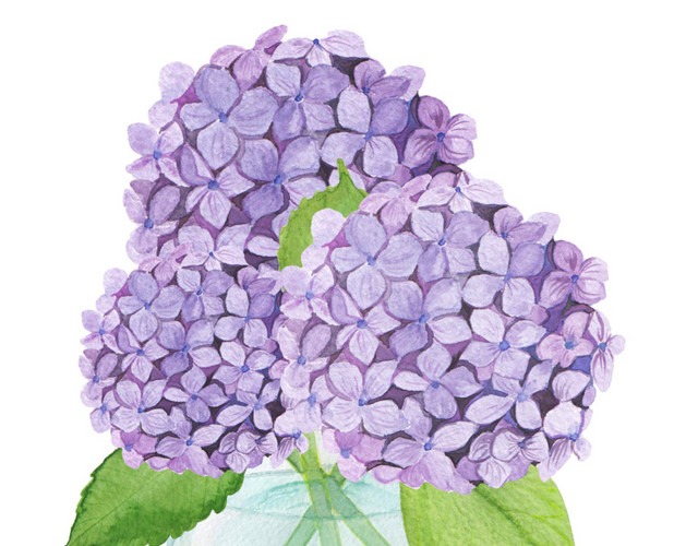 手绘水彩花装饰素材