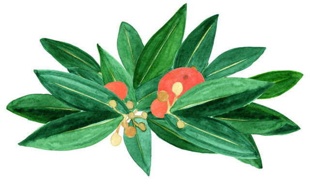 水彩绿色植物背景素材