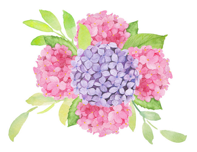 手绘水彩花装饰素材