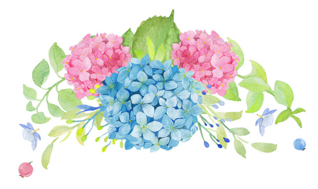 手绘水彩花装饰素材
