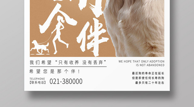 简约创意宠物动物我想有个伴海报