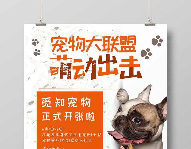 简约可爱宠物动物宠物大联盟萌动出击宠物店开张海报