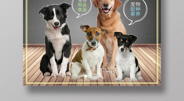 简约创意宠物动物开业大酬宾打折优惠促销活动海报