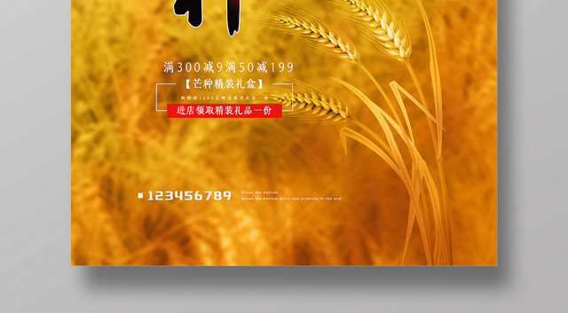 简约二十四节气芒种传统节日海报