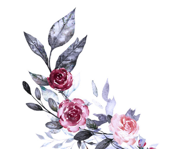 水彩复古玫瑰花素材