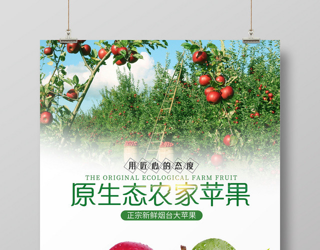 苹果水果简约风白色系原生态农家苹果苹果生鲜水果苹果促销海报