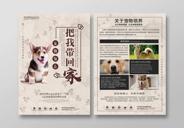 清新淡雅宠物店宣传单宠物领养动物单页