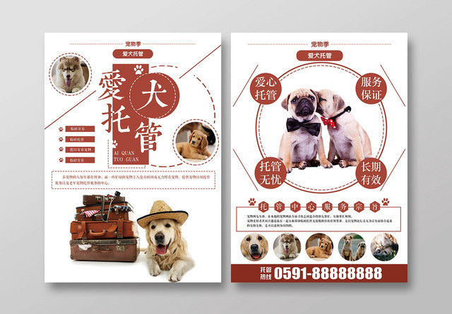 清新可爱宠物店宣传单爱犬托管动物单页