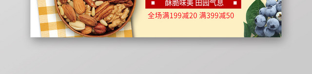 零食坚果美味坚果半价包邮店商淘宝天猫BANNER